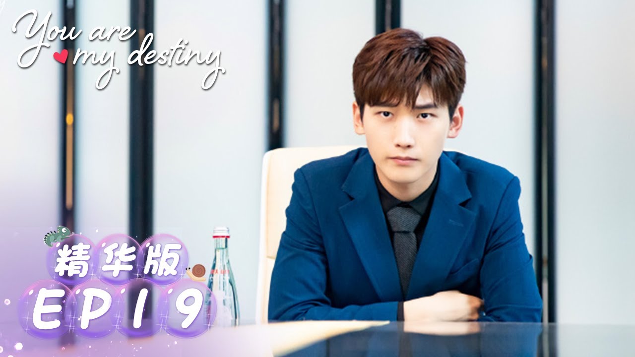 Highlights【你是我的命中注定 You Are My Destiny】EP19 | 嘉欣为析翊惊喜庆生，深情告白