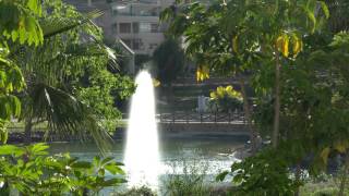 Sony A6300 Ilce-6300 - 4K 24Fps Nd Filter Auto Focus