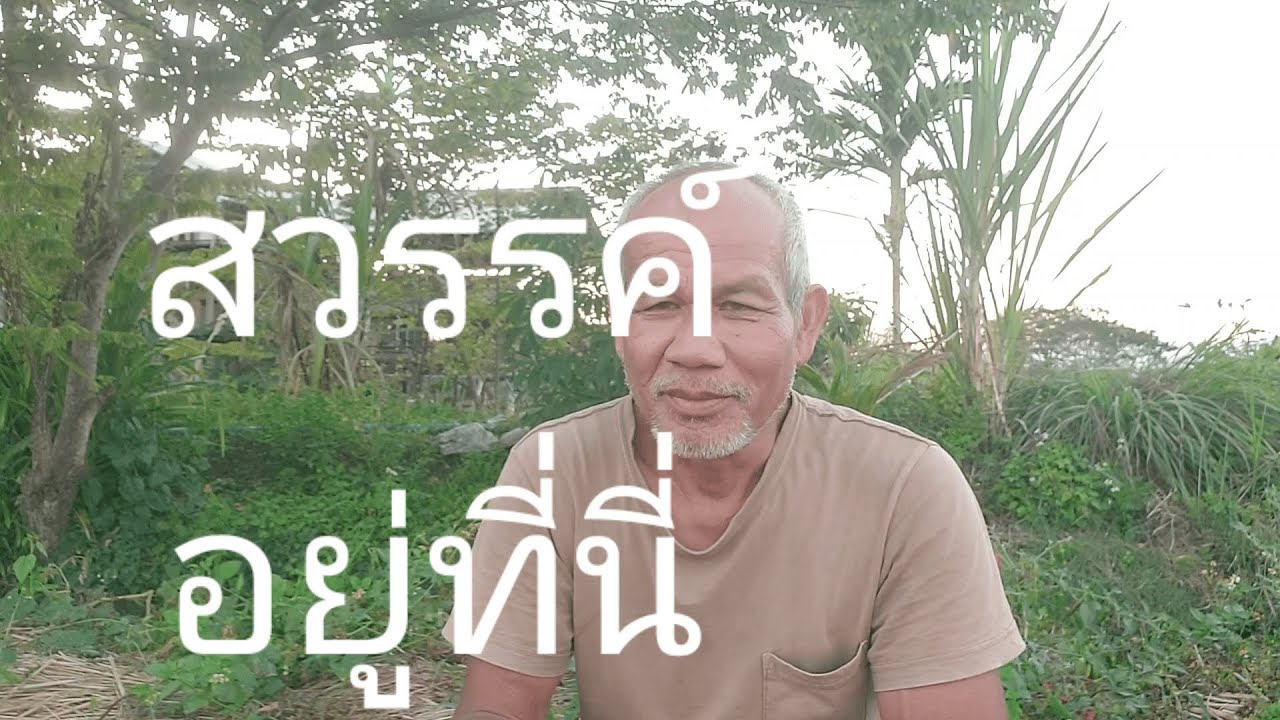 สวรรค์อยู่ที่นี่