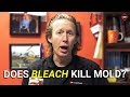 Does Bleach Kill Mold? | How To Kill Mold In Crawl Space | Mold Remediation