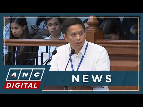 WATCH: VP Sara defense counsel Vinluan says there's no proof she hired an assassin | ANC