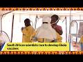 South African scientists race to develop Ebola vaccines