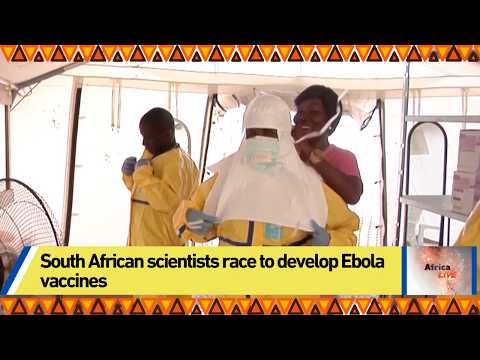 Video South African scientists race to develop Ebola vaccines