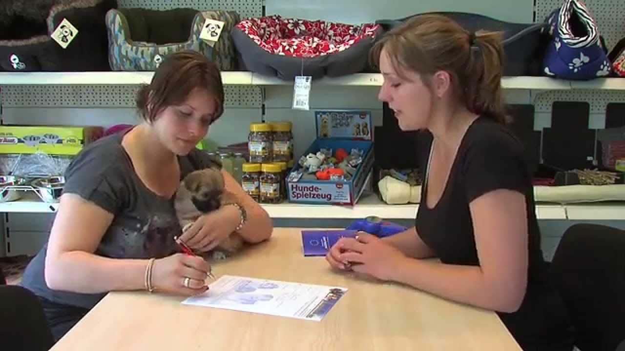 Haven beschaving Zus Over ons | hondjes.nl