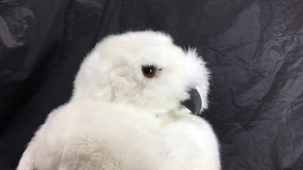 Universal Studios Harry Potter Hedwig Plush Owl Hand Puppet YouTube
