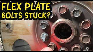 FZJ80 1FZFE How to Remove the Torque Converter and. Flex Plate Bolts  To Get the Engine on a Stand