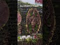 Dasavatharam at Tirumala #tirumala #tirupati #t