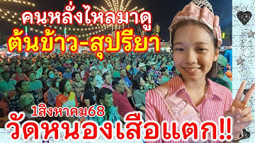 1ส.ค.68 น้องต้นข้าวร้องเพลง วัดหนองเสือ อ.ท่าม่วง จ.กาญจนบุรี เวลา20.00น. คนมาซื้อบัตรดูจนเต็ม!!