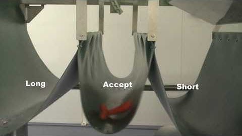 Radix 3 way Carrot sorting.mpg