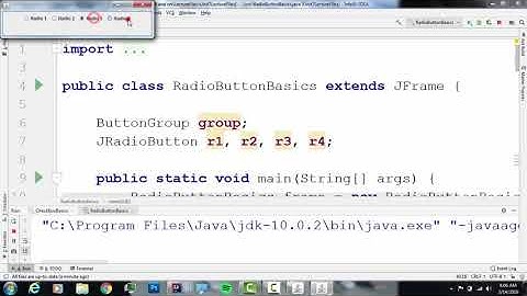 JCheckBox and JRadioButton