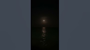 ﴿وَما لَنا أَلّا نَتَوَكَّلَ عَلَى اللَّهِ﴾ القارئ فارس عباد