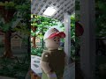 LEGO Ding Dong Ditching #shorts #lego #animation