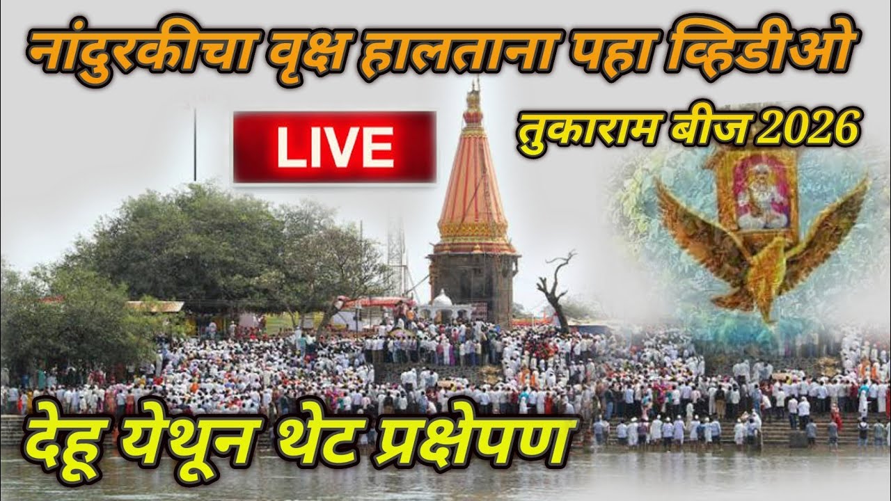 तुकाराम बीज 2026 देहू / नांदूरकी वृक्ष हालताना बघा 🚩