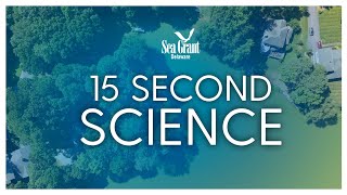 15 Second Science: Cyanobacteria