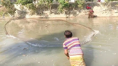 Unbelievable Cast Net Fishing video - Fisherman River Catch Netting - Fishing Net Video