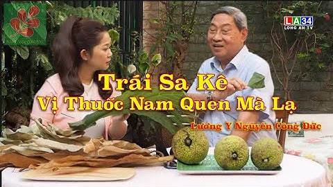 TRÁI SA KÊ VỊ THUỐC NAM QUEN MÀ LẠ - Lương Y Nguyễn Công Đức