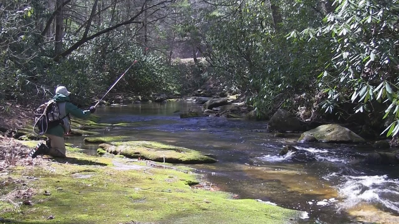 Fishing the East Prong Roaring Fork, North Carolina/Stone Mntn S.P ...