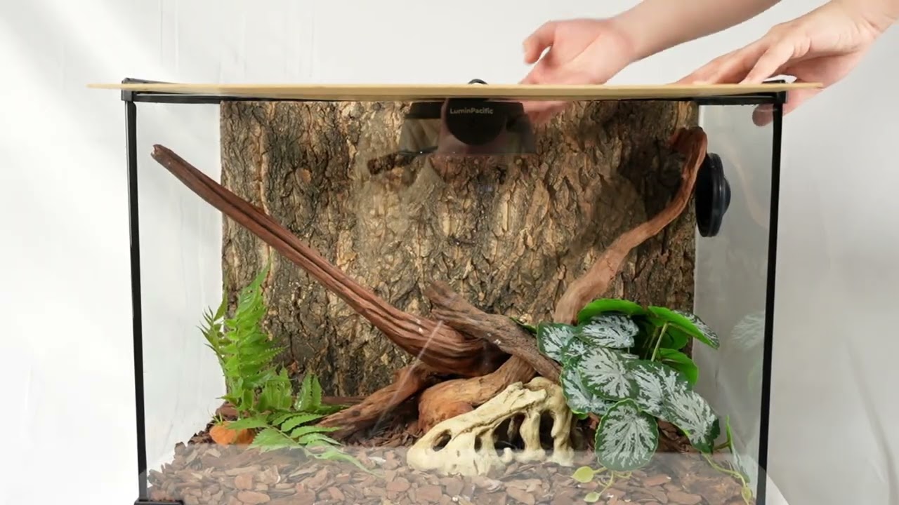 UVB Reptile Light – Full and Detailed Introduction: Unboxing, Installation,Setup, and Use Scenarios