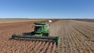 Milo Harvest 2021 Drone footage - AgVentures