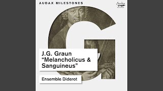 Trio Sonata in G Major, GWV A:XV:11 "Melancholicus & Sanguineus": II. Allegro non troppo