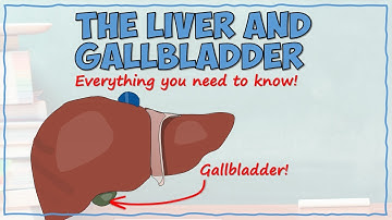 The Liver and Gallbladder