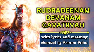 Rudradeenam devanam gayatryaha is a gayatri mantra compilation taken
from the 4th parashnah (mahanarayanopanishath) of taithiriya
upanishath on following...