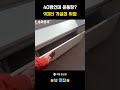 40평인데 운동장?!🏋️♀️ 9미터 거실의 위엄