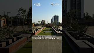 Bringing Skye Greens for a peaceful and prosperous life!#SkyeEarthDevelopers
