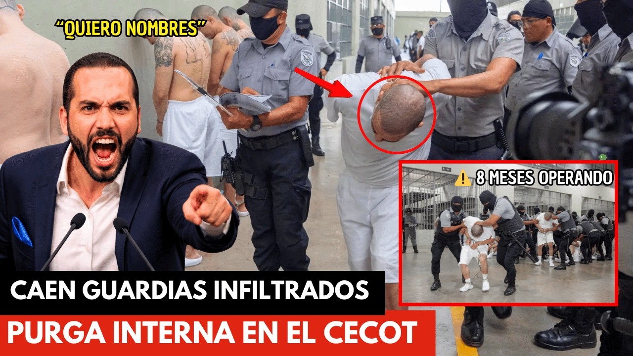 ¡SE VENDIERON DESDE ADENTRO! Red de GUARDIAS DENTRO del CECOT es DESMANTELADA por BUKELE