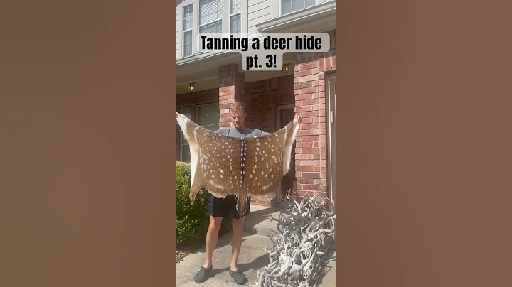 Tanning a Deer Hide Pt. 3: Cleaning and Stretching #taxidermy #axis #aldensantlers