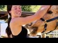 IMPOSSIBLE Try Not To Laugh Challenge 2026 😂 | Funny Animal Fails & Viral TikToks Compilation 😱
