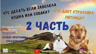 20.11.2019 Страхование домашних животных 2 часть 20.11.2019 Страхование домашних животных 2 часть