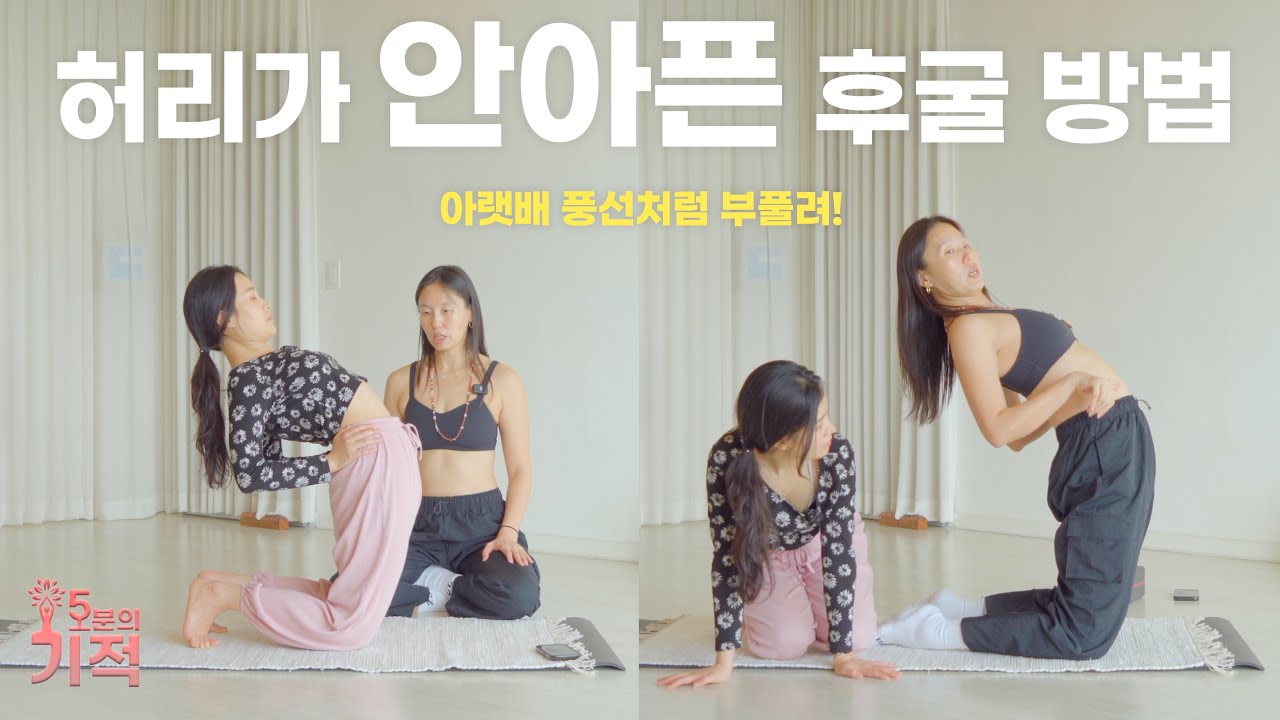 후굴 할 때 허리 아프셨나요? 이렇게 해보세요😀 / 복압 유지! 허리 통증없는 우스트라사나, 울드바다누라사나 접근 법