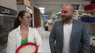 McGill Innovation Fund (MIF) Profile No. 7: