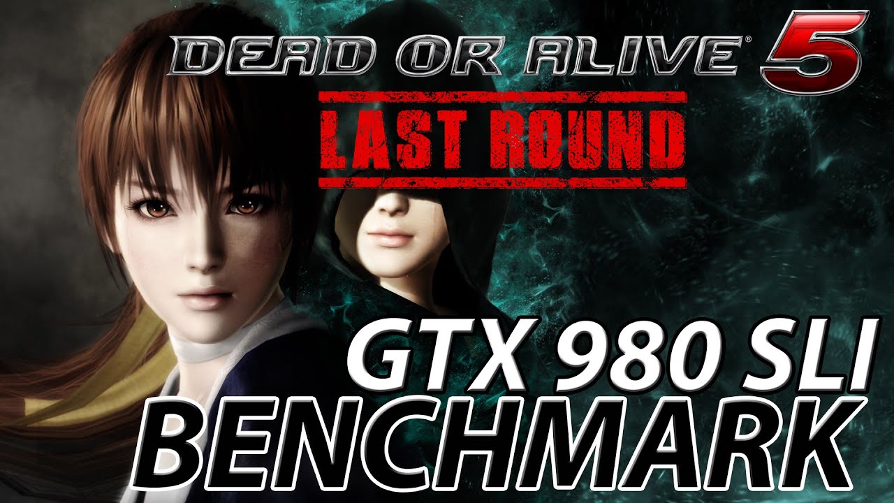 Dead or Alive 5: Last Round GTX 980 Max Settings Benchmark