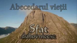 ABECEDARUL VIETII - SFAT DUHOVNICESC