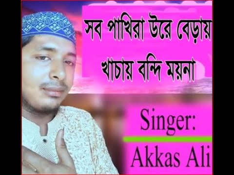 ভিডিও: প্রবাসী পাখিরা উড়ে বেড়ায়