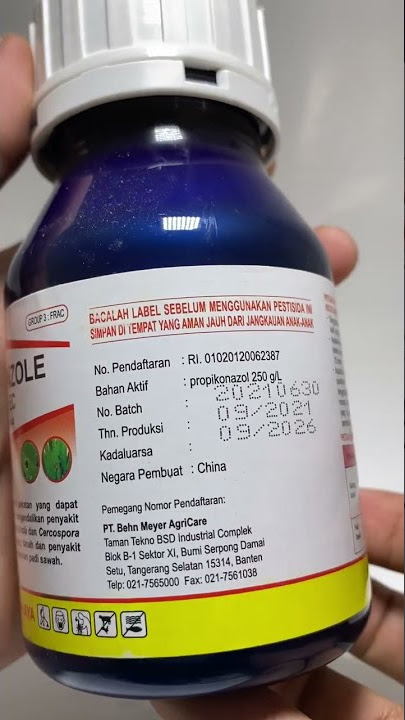 Masih Ada Bercak Daun dan Blas? 🤭🤭 BM CONZOLE 250 EC Nih 🥜🌾🤙 Sayonara Bercak Daun👋👋