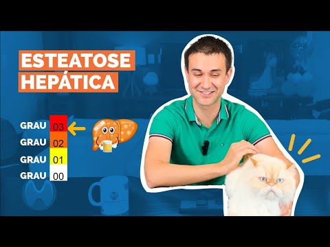 Esteatose hepática grau