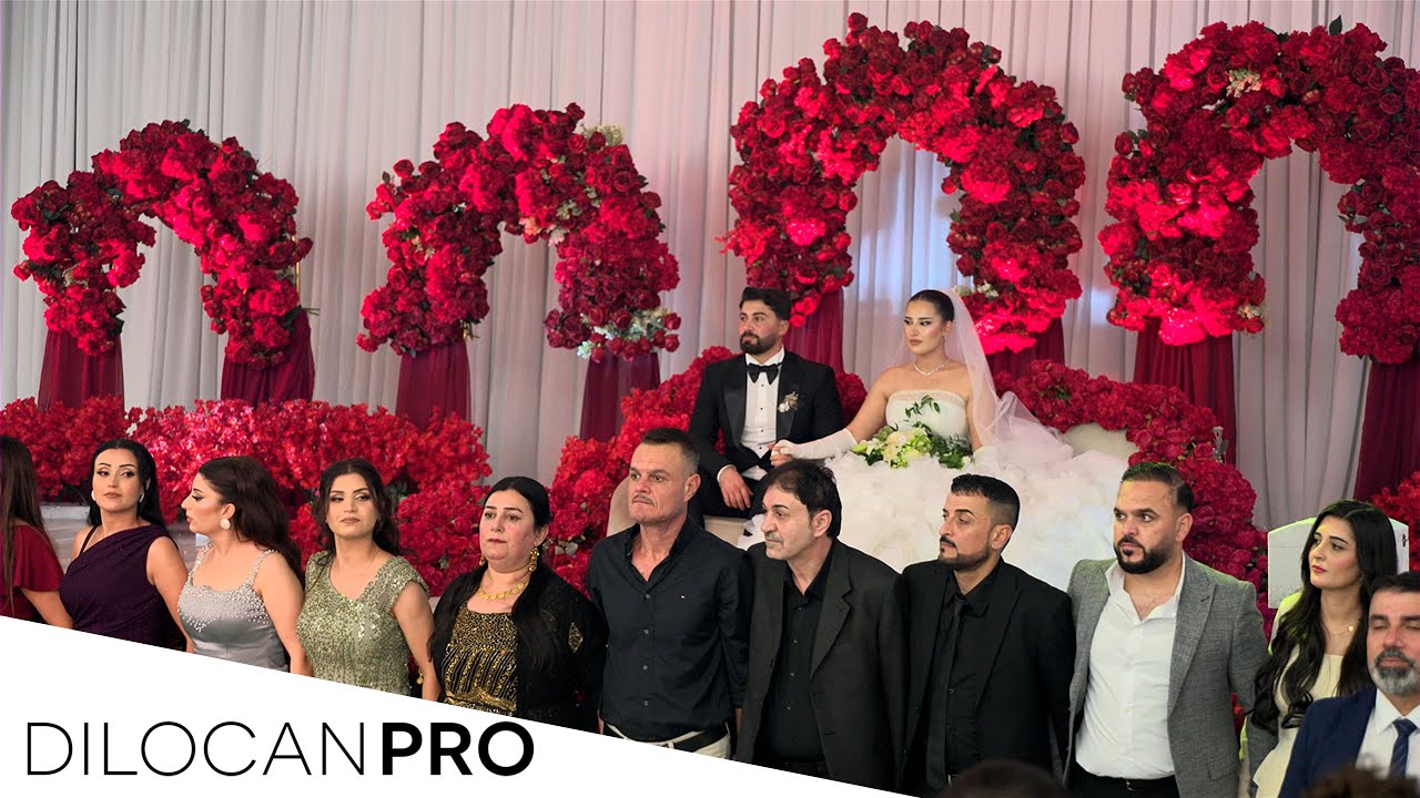 IMAD SELIM / DARVAN & HELIN / PART05 / #DilocanPro #Hochzeit #Wedding #Kurdish #Dilocan