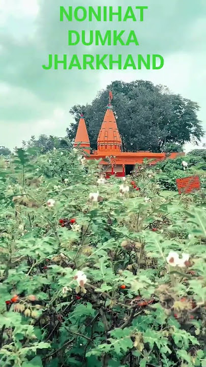 NONIHAT DUMKA JHARKHAND❤️🧡#treding #se .🚙