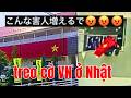 Ng Nhật lên án cờ VN treo khắp nơi ko ý tứ: muốn xâm chiếm Nhật?