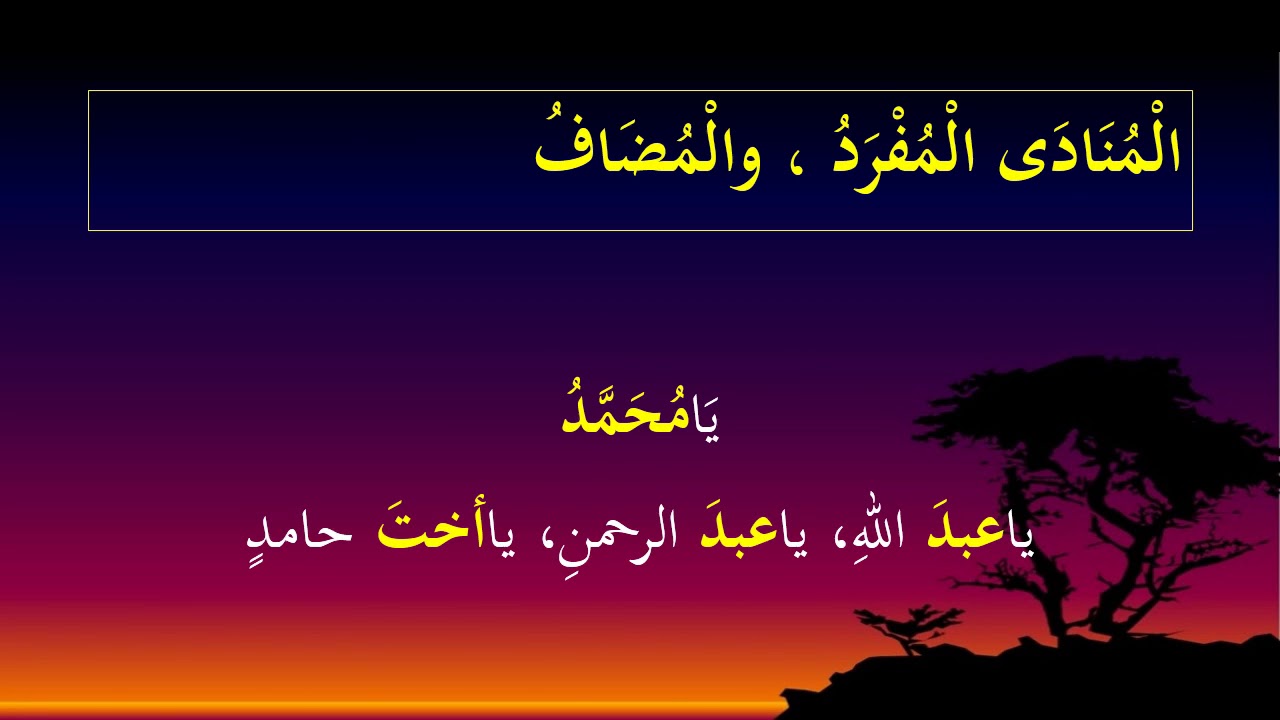 Arapski jezik za početnike (2. KNJIGA) 18. predavanje || فعل التعجب، جمع المؤنث السالم، نون الوقاية