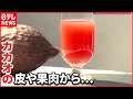 【フードロス削減】赤色のジュース!  カカオを&ldquo;丸ごと生かす&rdquo;方法を開発