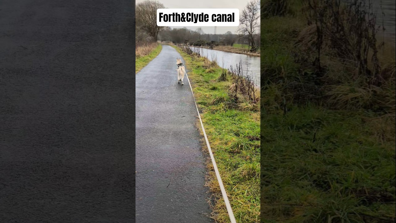 forth&Clyde canal 