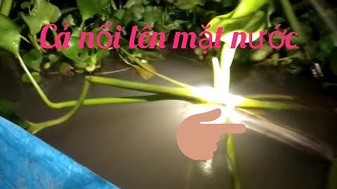 Cắm câu thác lác cườm mưu sinh. cần đầu tiên đã lên hàng#tuanvlogssanbatmuusinh#