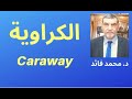 الدكتور محمد فائد الكراوية والجهاز الهضمي
