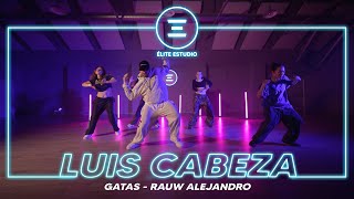 ÉLITE ESTUDIO MADRID | Rauw Alejandro - Gatas by LUIS CABEZA