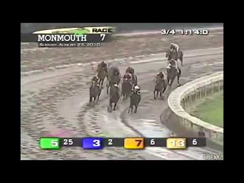 horse-race-with-hilarious-names