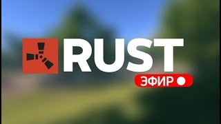 Ищу тиму в Rust